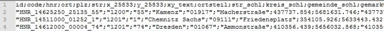 CSV-Ergebnisdatei